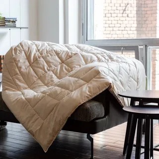 GRASS CAMEL WOOL / КАМЕЛУС 200x220 Одеяло верблюжье легкое G-64141