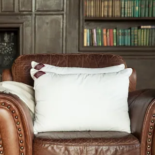 GRASS MEMORY TENCEL 50x68 Подушка упругая G-46112