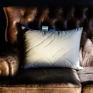 GRASS ORGANIC LINEN / ОРГАНИ 50x68 Подушка регулируемая G-238110