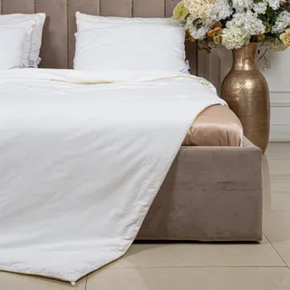 PREMIUM SILK / ПРЕМИАЛЬНЫЙ ШЕЛК 150х210 1350 г Одеяло шелковое зимнее DC1020S