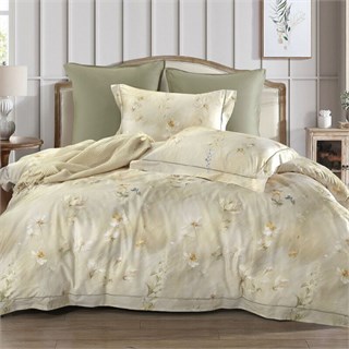 ASABELLA 2323-6 Постельное белье евро: люкс-сатин, египетский хлопок Premium 2323-6