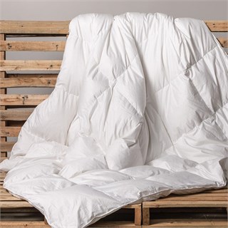 СЕРЕБРЯНАЯ МЕЧТА 140х205 Одеяло пуховое всесезонное СМ-О-3-2