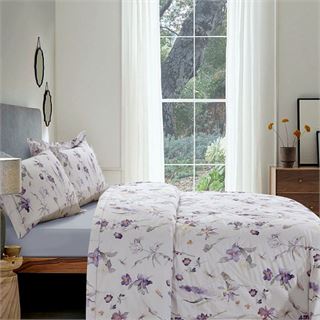 ASABELLA 2370-2OSP Семейный: комплект с 2-мя одеялами 160х220, египетский хлопок/тенсел 2370-2OSP