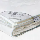 PREMIUM SILK / ПРЕМИАЛЬНЫЙ ШЕЛК 200х220 800 г Одеяло шелковое легкое DC1004