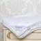 PREMIUM SILK 200х220 800 г Одеяло шелковое легкое DC1004