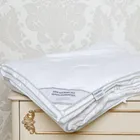 PREMIUM SILK / ПРЕМИАЛЬНЫЙ ШЕЛК 200х220 800 г Одеяло шелковое легкое DC1004