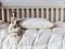 BABY ORGANIC DOWN 40x60 Подушка пуховая низкая G-71460