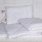 BABY 95°C GRASS 100x135/40х60/60х120 Комплект в кроватку: одеяло всесезонное, наматрасник и подушка - фото 144217