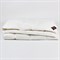 AIR DOWN GRASS 200x220 Одеяло пуховое всесезонное LIGHT G-31140