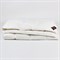 AIR DOWN GRASS 200x200 Одеяло пуховое всесезонное LIGHT G-31190