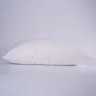 GRASS CAMEL WOOL / КАМЕЛУС 50x68 Подушка с верблюжьей шерстью регулируемая G-64110