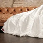 GRASS DOUBLE TENCEL / ТЕНЦО 200x200 Одеяло эвкалиптовое легкое G-96191