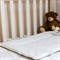 BABY ORGANIC LINEN 100x135/40х60 Комплект в кроватку: одеяло всесезонное и подушка G-BOC-113