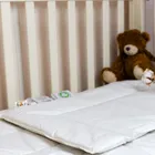 BABY ORGANIC LINEN / ОРГАНИ 100x135 / 40х60 Комплект в кроватку: одеяло всесезонное и подушка G-BOC-113