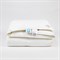 LUXE DOWN GRASS 200x220 Одеяло пуховое 3-в-1 G-22143 - фото 145664 LUXE DOWN GRASS 200x220 Одеяло пуховое 3-в-1 G-22143 - фото 145664