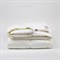 LUXE DOWN GRASS 220x240 Одеяло пуховое всесезонное G-22180