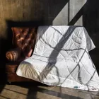 GRASS ORGANIC LINEN / ОРГАНИ 200x220 Одеяло стеганое легкое G-238141