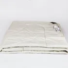 GRASS ORGANIC LINEN / ОРГАНИ 240x260 Одеяло стеганое легкое G-238161