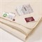 ORGANIC СOTTON GRASS 220x240 Одеяло стеганое легкое G-99181