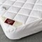 MATTRESS COTTONWACH GRASS 160x200 Наматрасник стеганый легкий G-2162