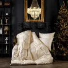 GRASS SILK DOWN 200x200 Одеяло пуховое теплое G-82192