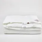 GRASS DOUBLE TENCEL / ТЕНЦО 160x220 Одеяло эвкалиптовое всесезонное G-96170