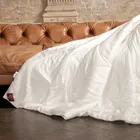 GRASS DOUBLE TENCEL / ТЕНЦО 140x205 Одеяло эвкалиптовое всесезонное G-96150