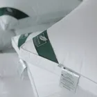 FLAUM PERLE 70х70 Подушка пуховая мягкая DP-16701