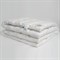 ROYAL DOWN GRASS 180х200 Наматрасник-перина пуховая теплая G-66182