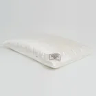 GRASS GREAT SILK / ГРЕЙСИЛ 50x68 Подушка шелковая мягкая G-94111