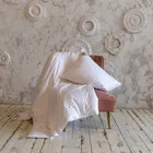 GRASS PAISLEY SILK 200x200 Одеяло шелковое легкое G-65191
