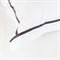SALZBURG NOBLE GRAY GRASS Наволочки 50х70 см (2 шт.) G-615070 - фото 182328