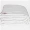 NON-ALLERGENIC PREMIUM GRASS 160х220 Одеяло стеганое всесезонное G-108171 - фото 183170 NON-ALLERGENIC PREMIUM GRASS 160х220 Одеяло стеганое всесезонное G-108171 - фото 183170
