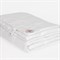 NON-ALLERGENIC PREMIUM GRASS 160х220 Одеяло стеганое всесезонное G-108171 - фото 183171 NON-ALLERGENIC PREMIUM GRASS 160х220 Одеяло стеганое всесезонное G-108171 - фото 183171