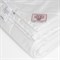 NON-ALLERGENIC PREMIUM GRASS 220х240 Одеяло стеганое всесезонное G-108181
