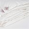 ALLIANCE Down&DOWN LIGHT GRASS 150х200 Одеяло двойное G-323211520