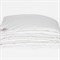 ALLIANCE Down&SILK GRASS 200х220 Одеяло двойное G-329732022