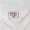 ROYAL DOWN GRASS 200х220 Одеяло пуховое всесезонное LIGHT G-61141