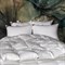 ROYAL DOWN GRASS 160х220 Одеяло пуховое всесезонное G-61170
