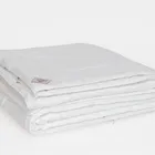 GRASS ALLIANCE SILK / АЛЬЯНС ШЕЛК 200х220 Одеяло шелковое всесезонное облегченное G-97340
