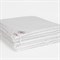 ALLIANCE HEMP&SILK GRASS 200х200 Одеяло двойное G-989732020 - фото 184105