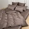 HAVANA BROWN BRILLIANT GRASS Постельное белье семейное G-2324250