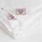 ALLIANCE DOWN LIGHT&CASHMERE GRASS 200х220 Одеяло двойное G-321532022