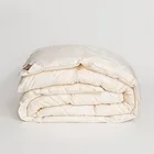 GRASS SILK DOWN 160х220 Одеяло пуховое теплое G-82172