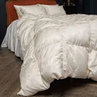 GRASS SILK DOWN 160х220 Одеяло пуховое всесезонное G-82170