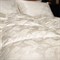 SILK DOWN GRASS 160х220 Одеяло пуховое всесезонное G-82170