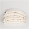 SILK DOWN GRASS 160х220 Одеяло пуховое всесезонное G-82170