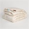 SILK DOWN GRASS 160х220 Одеяло пуховое всесезонное G-82170