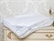 PREMIUM SILK 150х210 550 г Одеяло шелковое летнее DC1017