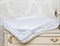 PREMIUM SILK 220х240 900 г Одеяло шелковое летнее DC1020